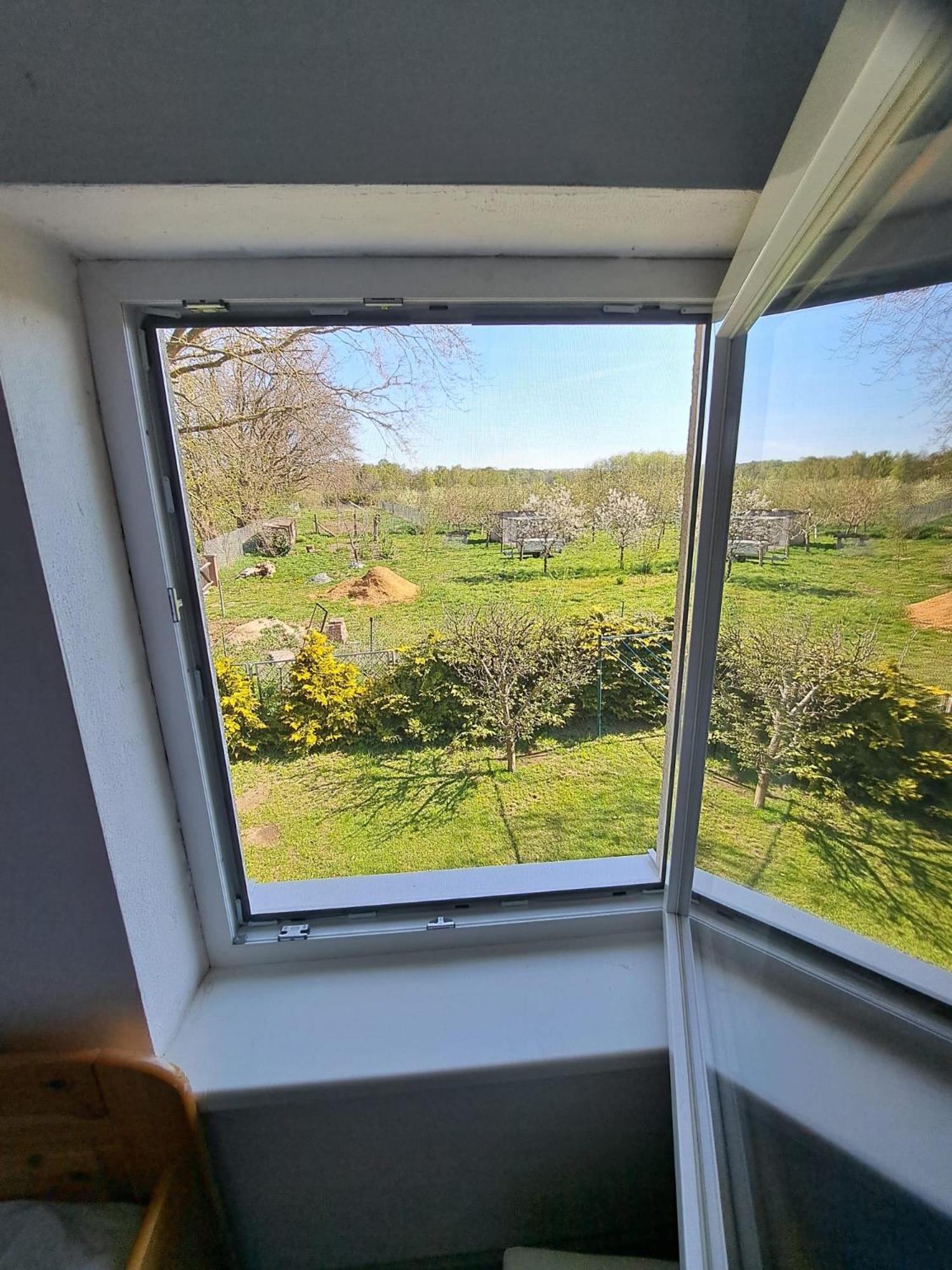 Ferienwohnung Mueller Zirkow Bagian luar foto
